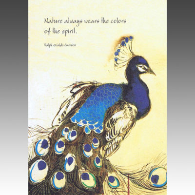 Peacock Blue (birthday card)